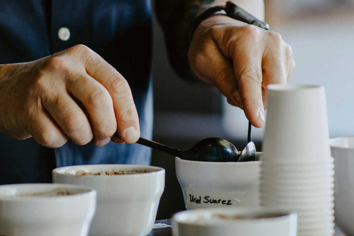 coffee cupping