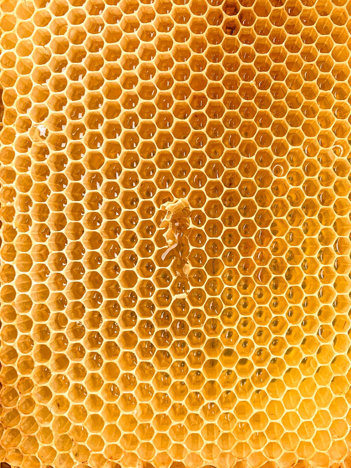 honeycomb